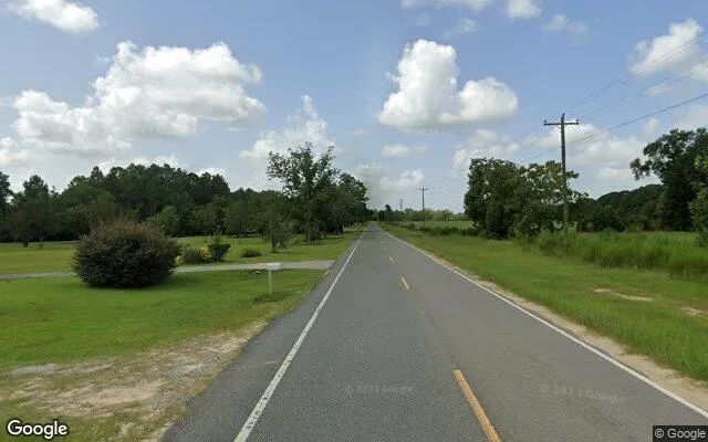 Decorative background for 7.45 Acres in Alma - Bacon County, GA image 5
