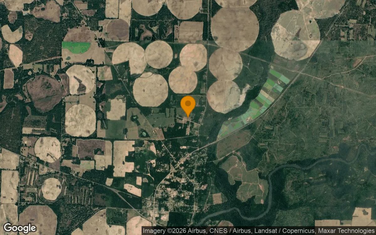 1.5 Acres in Newton - Baker County, GA - Image 3