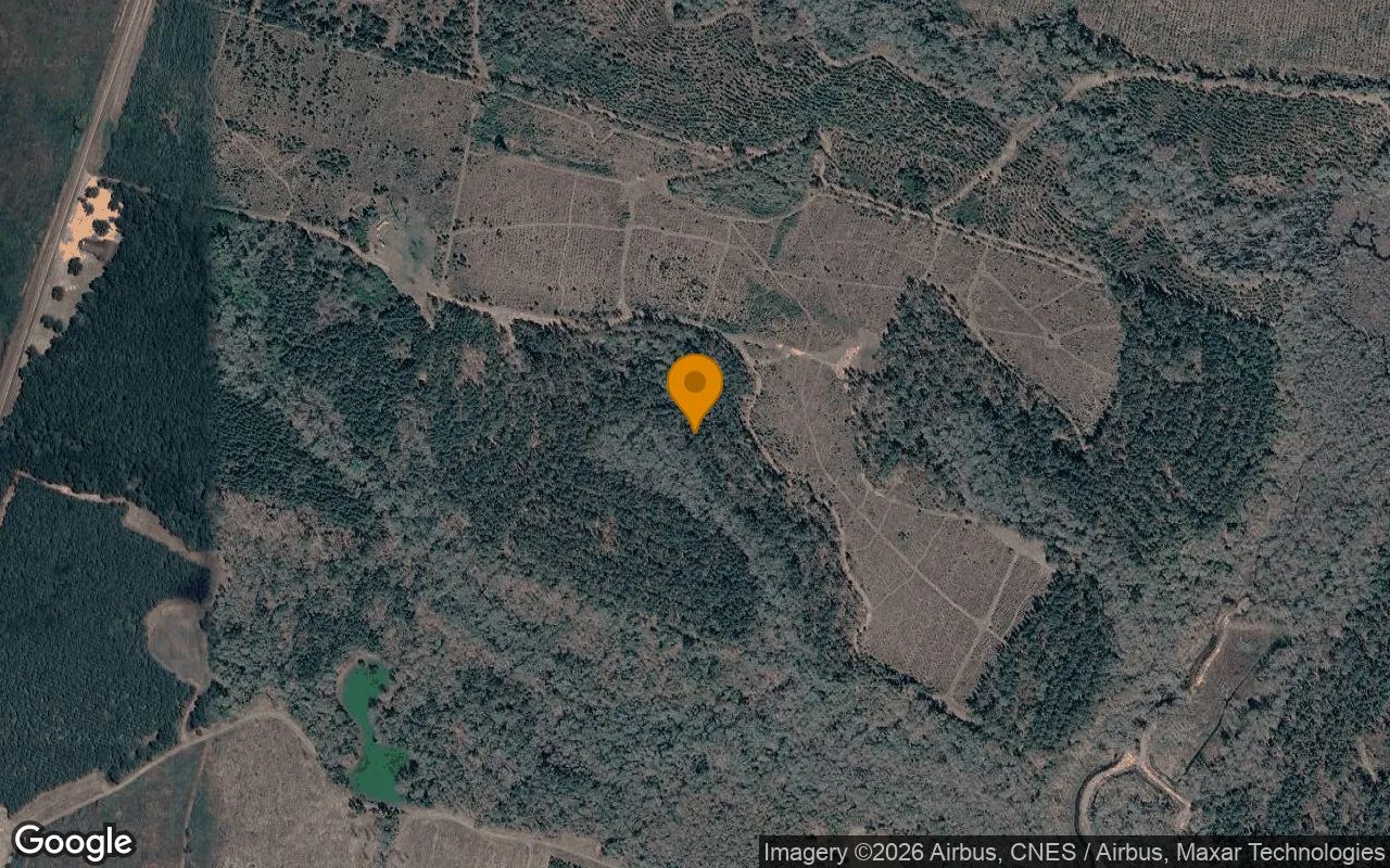 125.29 Acres in Washington - Washington County, GA in Washington County, GA