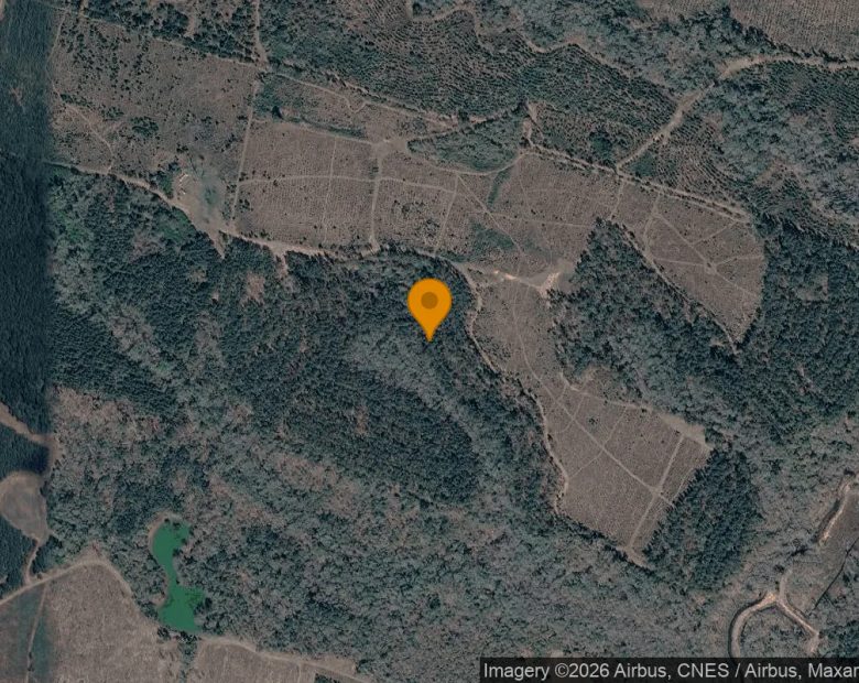 125.29 Acres in Washington - Washington County, GA in Washington County, GA