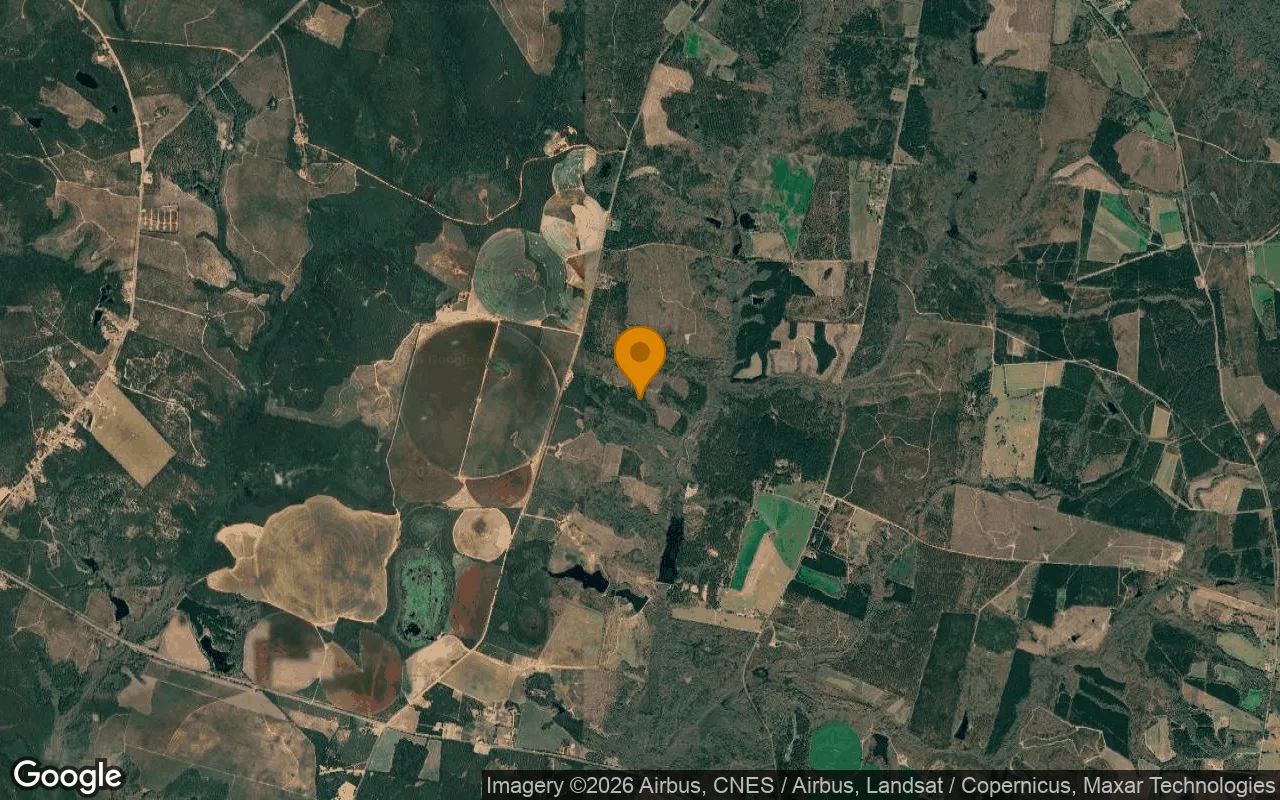 125.29 Acres in Washington - Washington County, GA in Washington County, GA