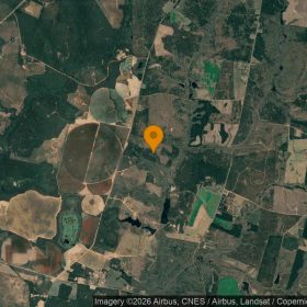 125.29 Acres in Washington - Washington County, GA in Washington County, GA