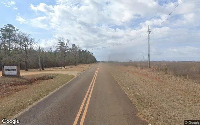 Decorative background for 125.29 Acres in Washington - Washington County, GA image 6