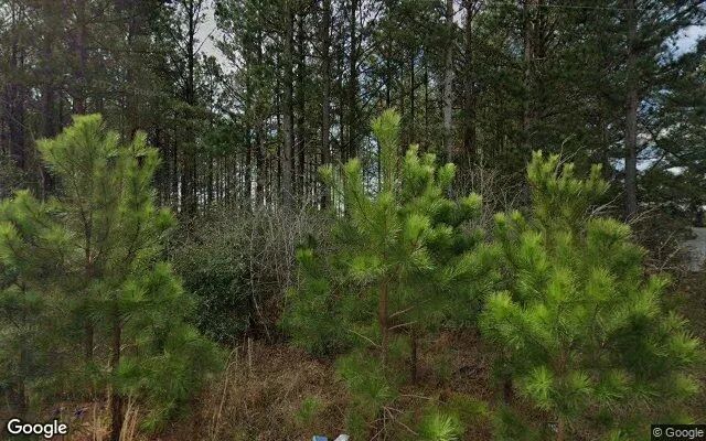 0.64 Acres in Stapleton - Jefferson County, GA - Image 4