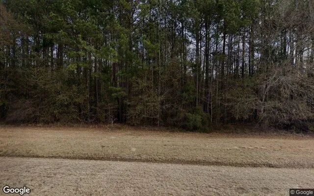 7.94 Acres in Ellaville - Schley County, GA - Image 4