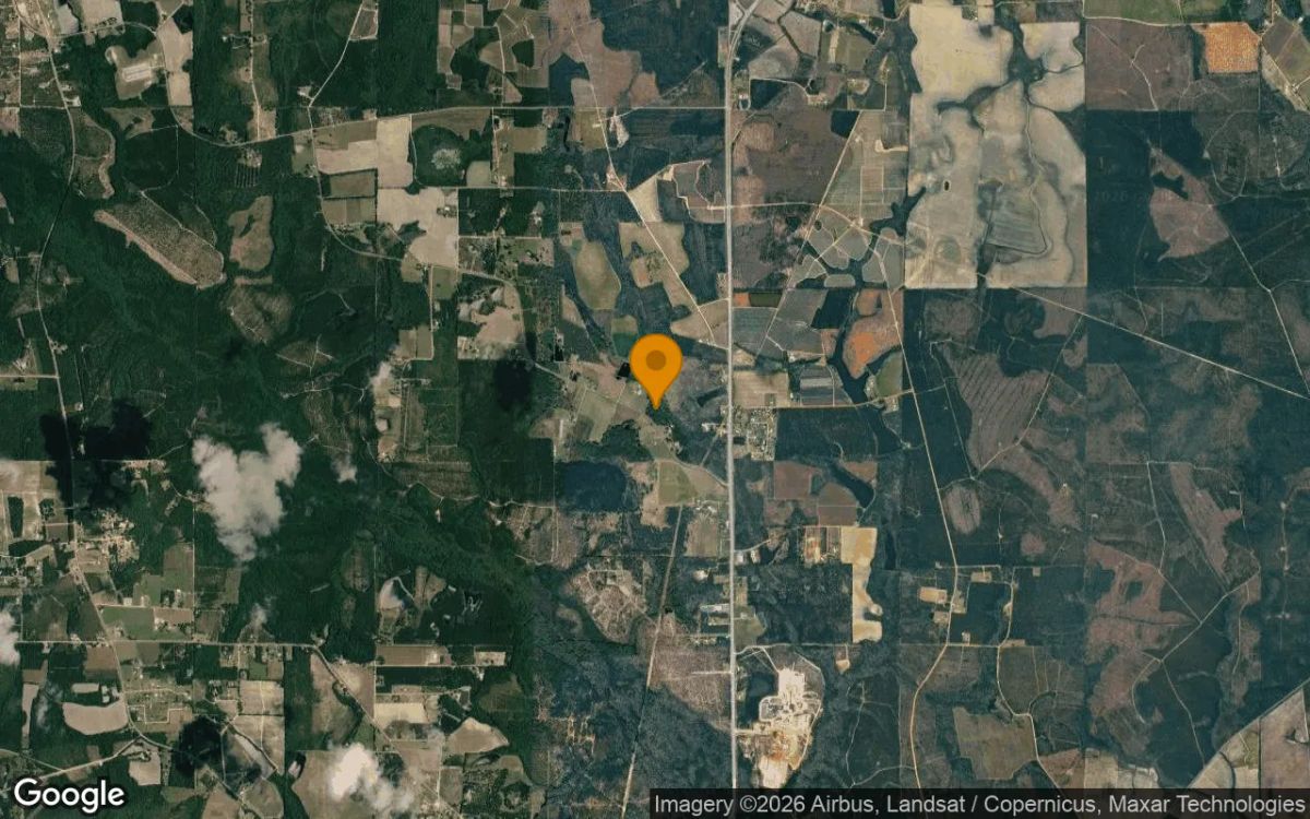 7.48 Acres in Alma - Bacon County, GA - Image 3