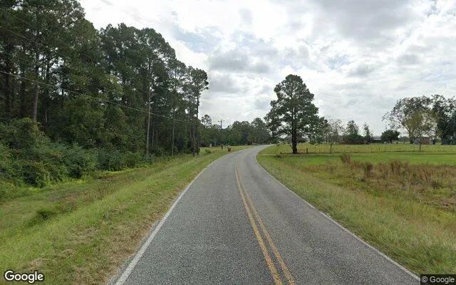 Decorative background for 7.48 Acres in Alma - Bacon County, GA image 6