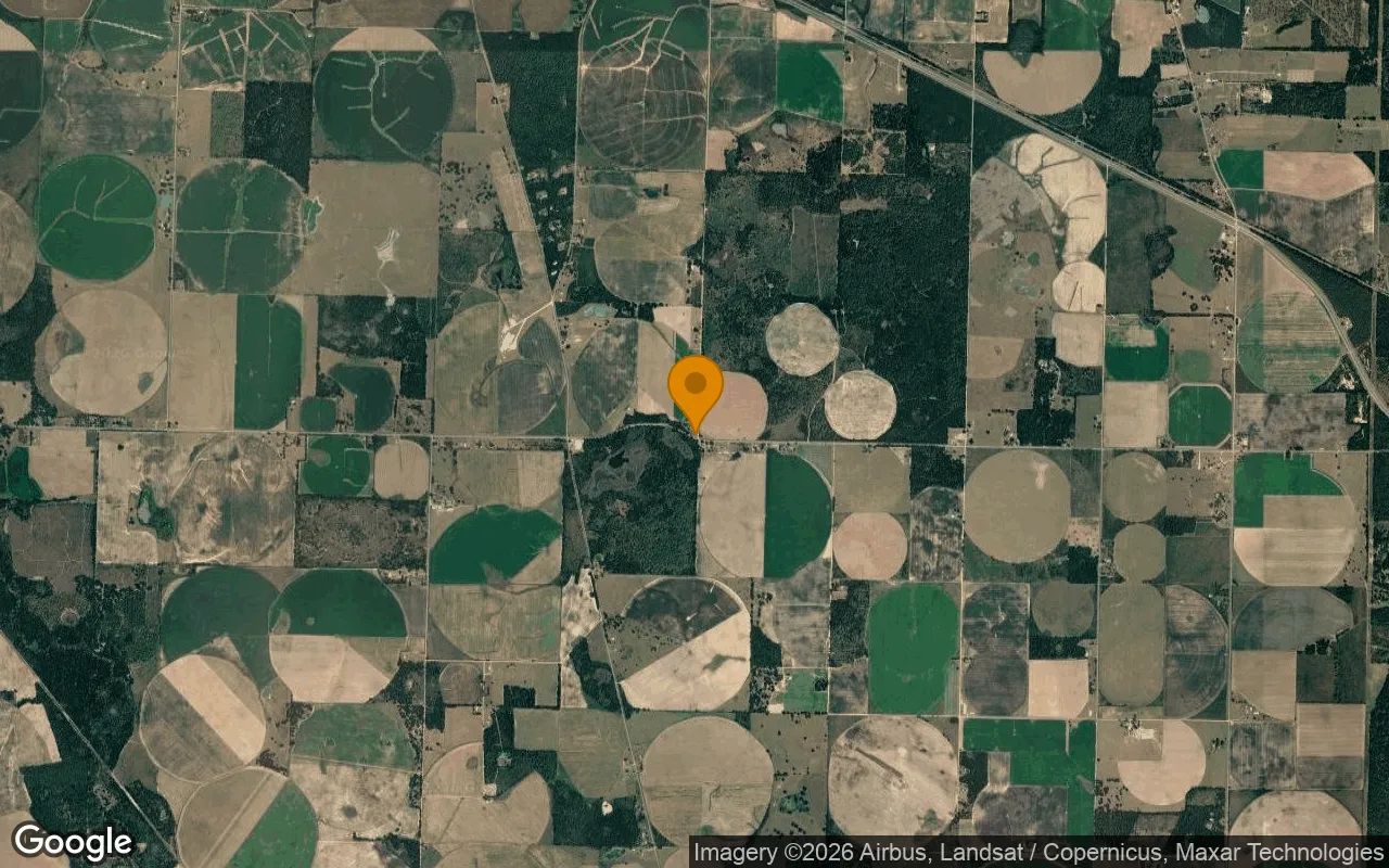 0.21 Acres in Iron City - Seminole County, GA in Seminole County, GA