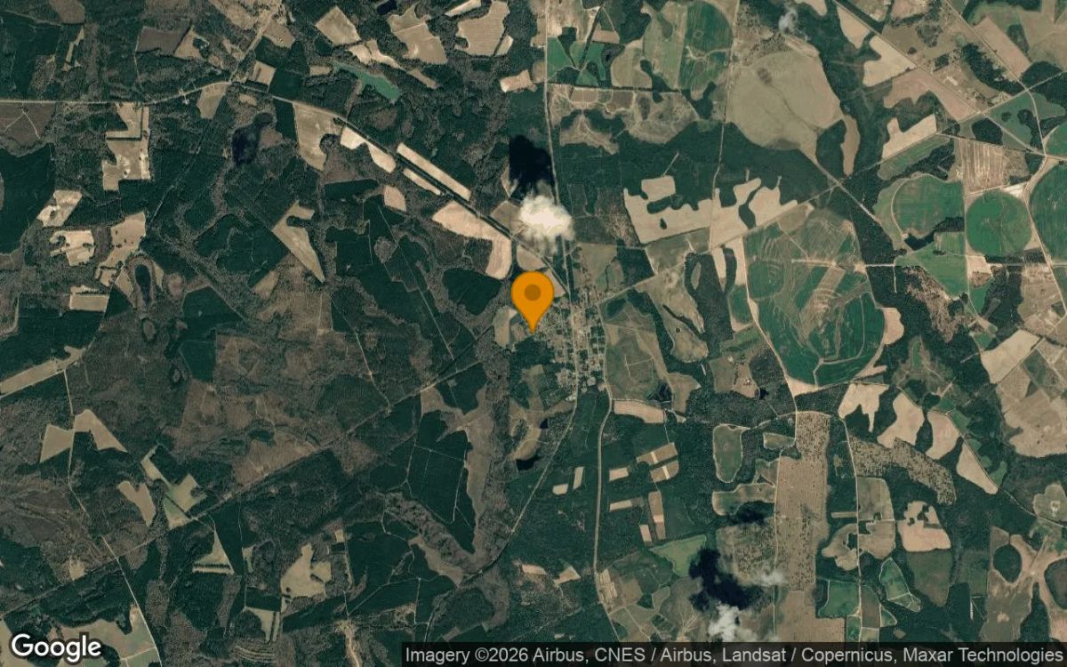 0.25 Acres in Gough - Burke County, GA - Image 3