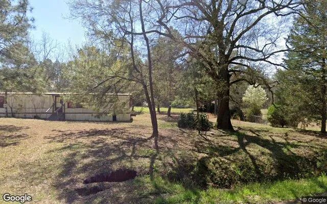 Decorative background for 0.25 Acres in Gough - Burke County, GA image 5