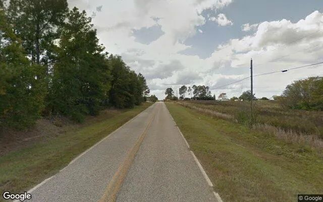 Decorative background for 7.54 Acres in Millen - Jenkins County, GA image 5