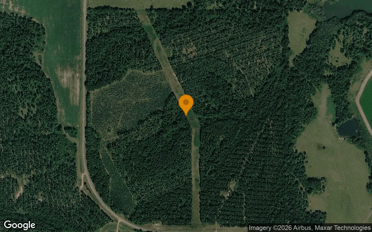 125.2 Acres in Ashburn - Turner County, GA in Turner County, GA