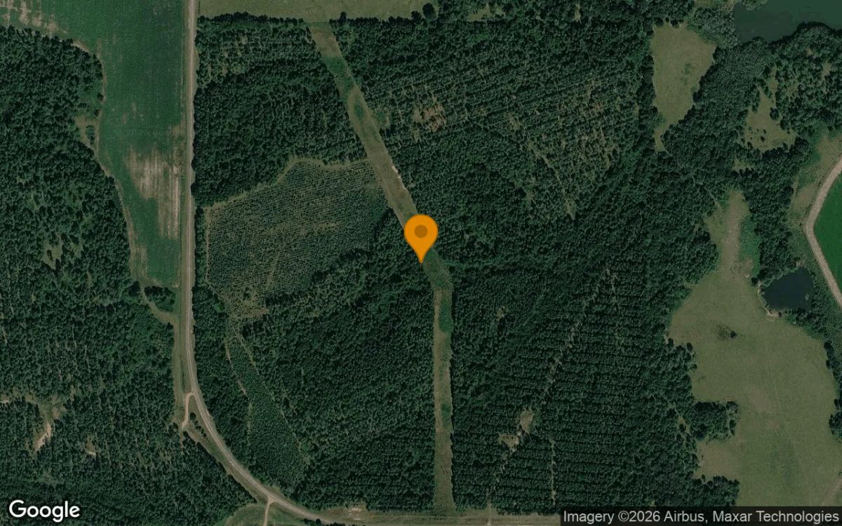 125.2 Acres in Ashburn - Turner County, GA - Main image