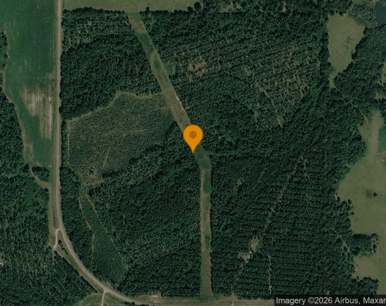 125.2 Acres in Ashburn - Turner County, GA in Turner County, GA