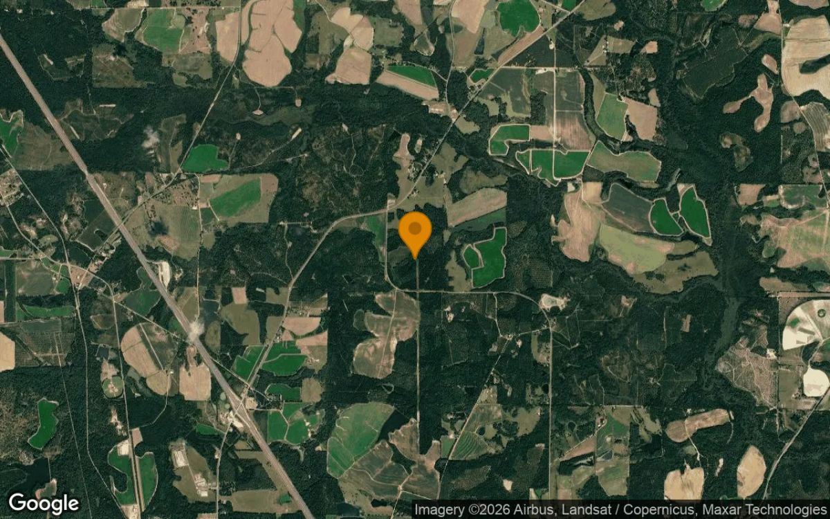 125.2 Acres in Ashburn - Turner County, GA - Image 3