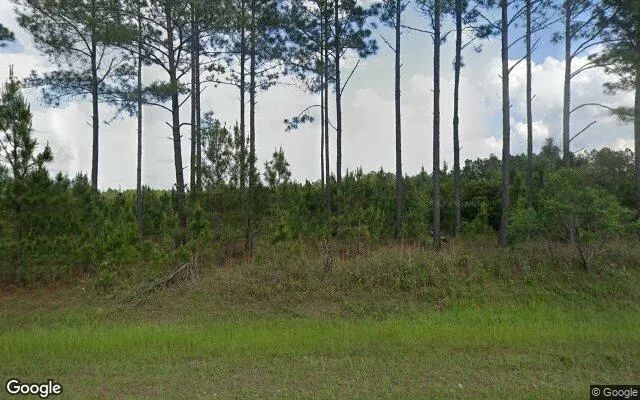 125.2 Acres in Ashburn - Turner County, GA in Turner County, GA