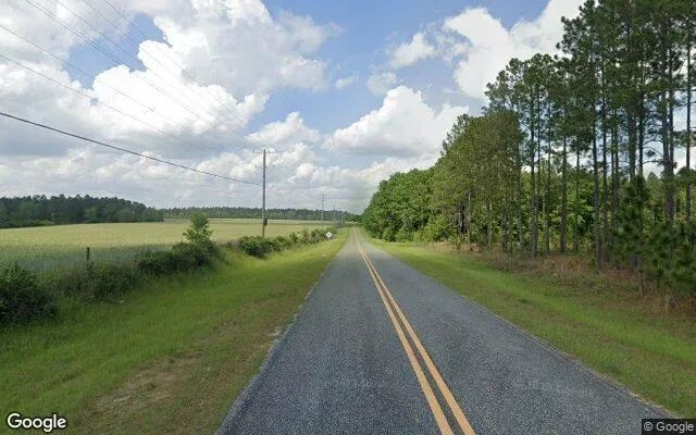 Decorative background for 125.2 Acres in Ashburn - Turner County, GA image 5
