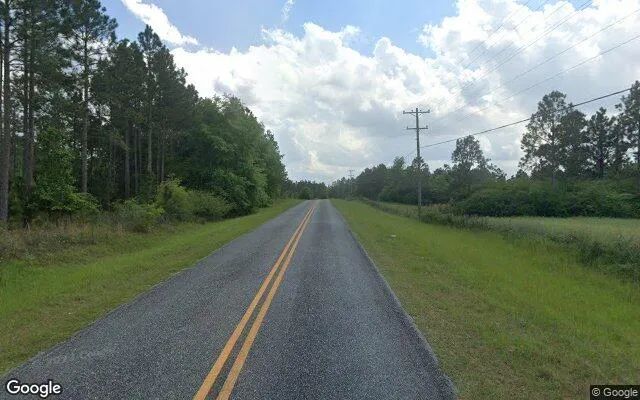Decorative background for 125.2 Acres in Ashburn - Turner County, GA image 6