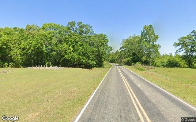 Decorative background for 2.32 Acres in Shellman - Randolph County, GA image 6