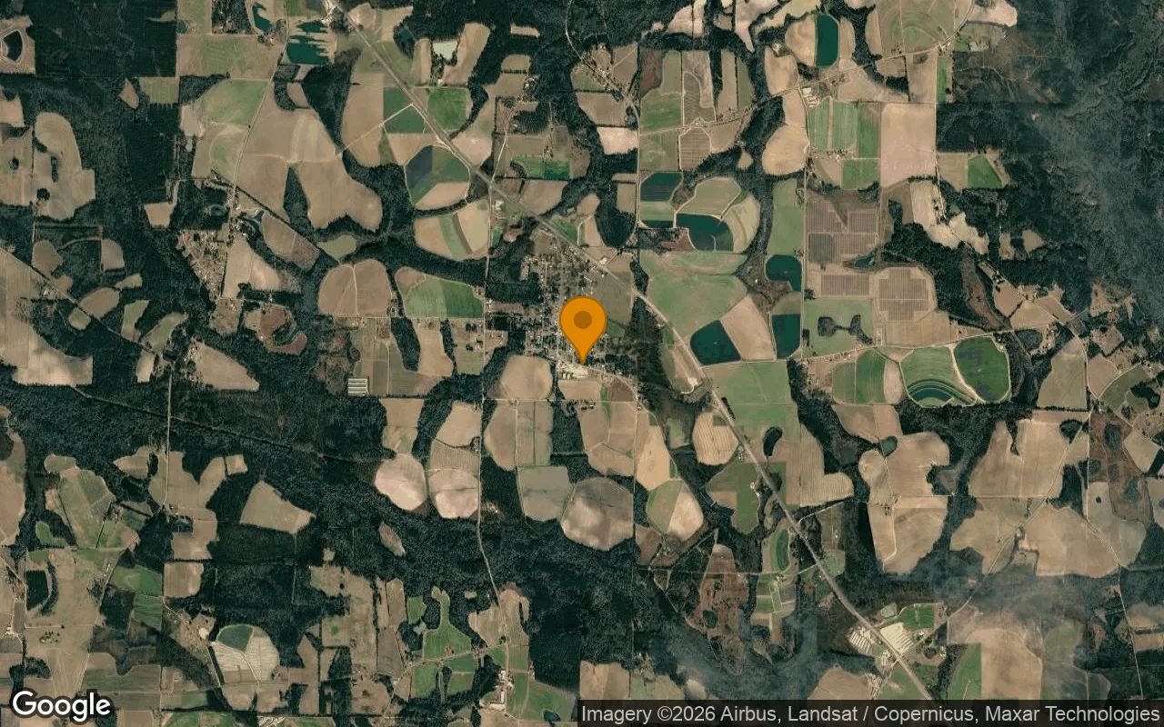 0.3 Acres in Berlin - Colquitt County, GA in Colquitt County, GA