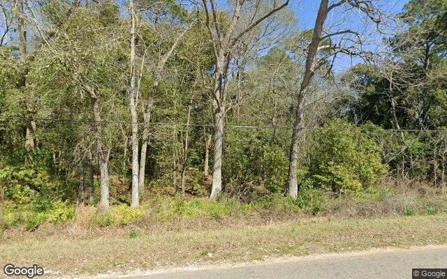 0.3 Acres in Berlin - Colquitt County, GA - Image 4
