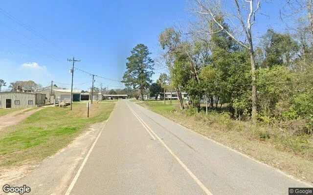 Decorative background for 0.3 Acres in Berlin - Colquitt County, GA image 5