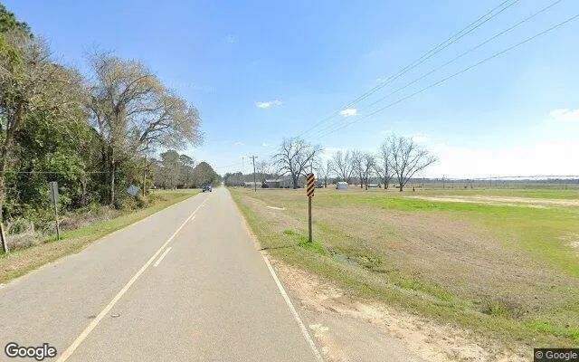 Decorative background for 0.3 Acres in Berlin - Colquitt County, GA image 6