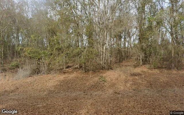 0.85 Acres in Alston - Montgomery County, GA in Montgomery County, GA