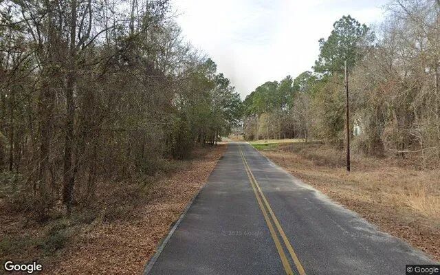 Decorative background for 0.85 Acres in Alston - Montgomery County, GA image 5