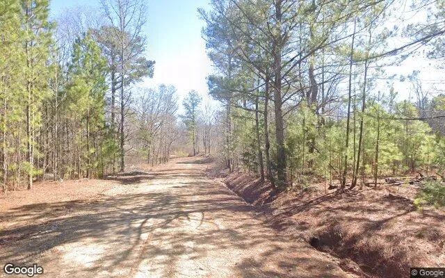 Decorative background for 0.55 Acres in Griffin - Spalding County, GA image 6