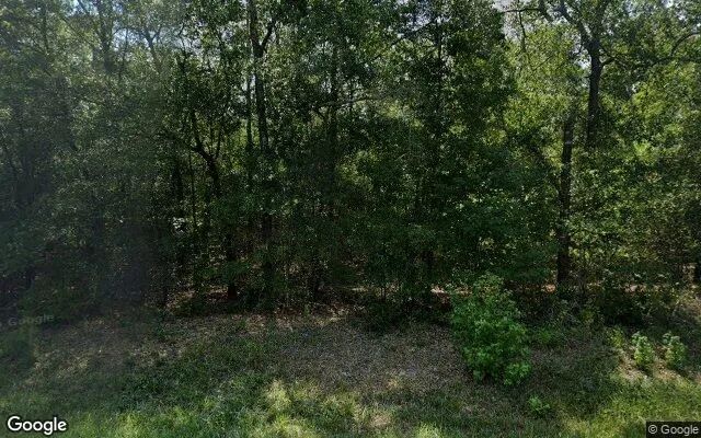 74.61 Acres in Gordon - Wilkinson County, GA in Wilkinson County, GA