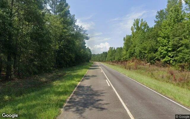 Decorative background for 74.61 Acres in Gordon - Wilkinson County, GA image 6