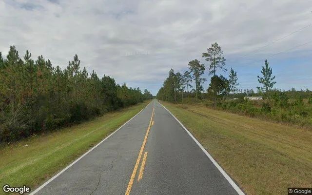 Decorative background for 12.82 Acres in White Oak - Camden County, GA image 5