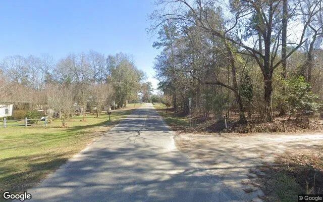 Decorative background for 0.15 Acres in Cobb - Sumter County, GA image 5