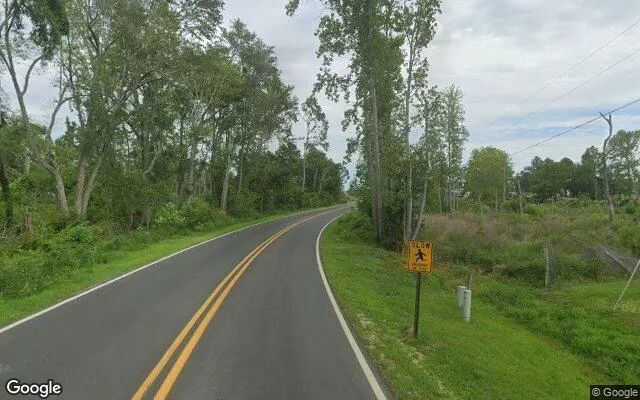 Decorative background for 3.5 Acres in Swainsboro - Emanuel County, GA image 6