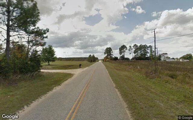 Decorative background for 7.54 Acres in Millen - Jenkins County, GA image 5