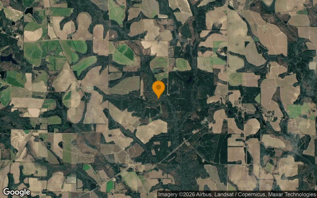 1.12 Acres in Cotton - Mitchell County, GA - Image 3
