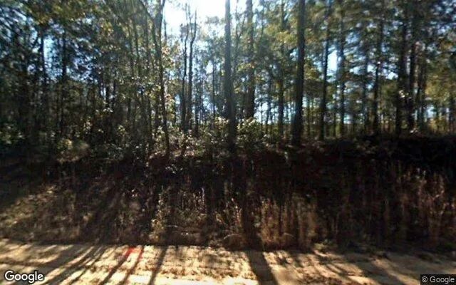 1.12 Acres in Cotton - Mitchell County, GA - Image 4