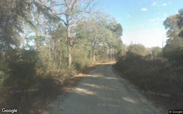 Decorative background for 7.52 Acres in Brooklet - Bulloch County, GA image 5