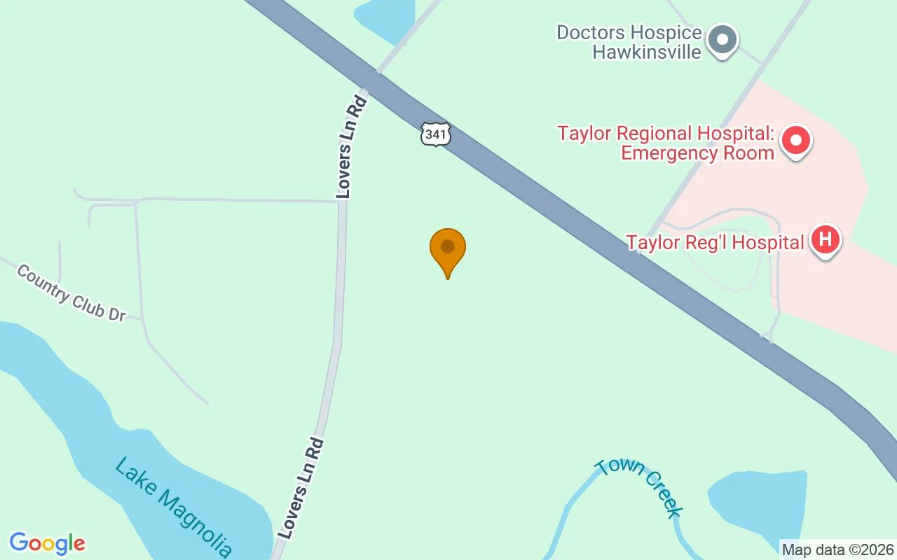14.77 Acres in Hawkinsville - Pulaski County, GA in Pulaski County, GA