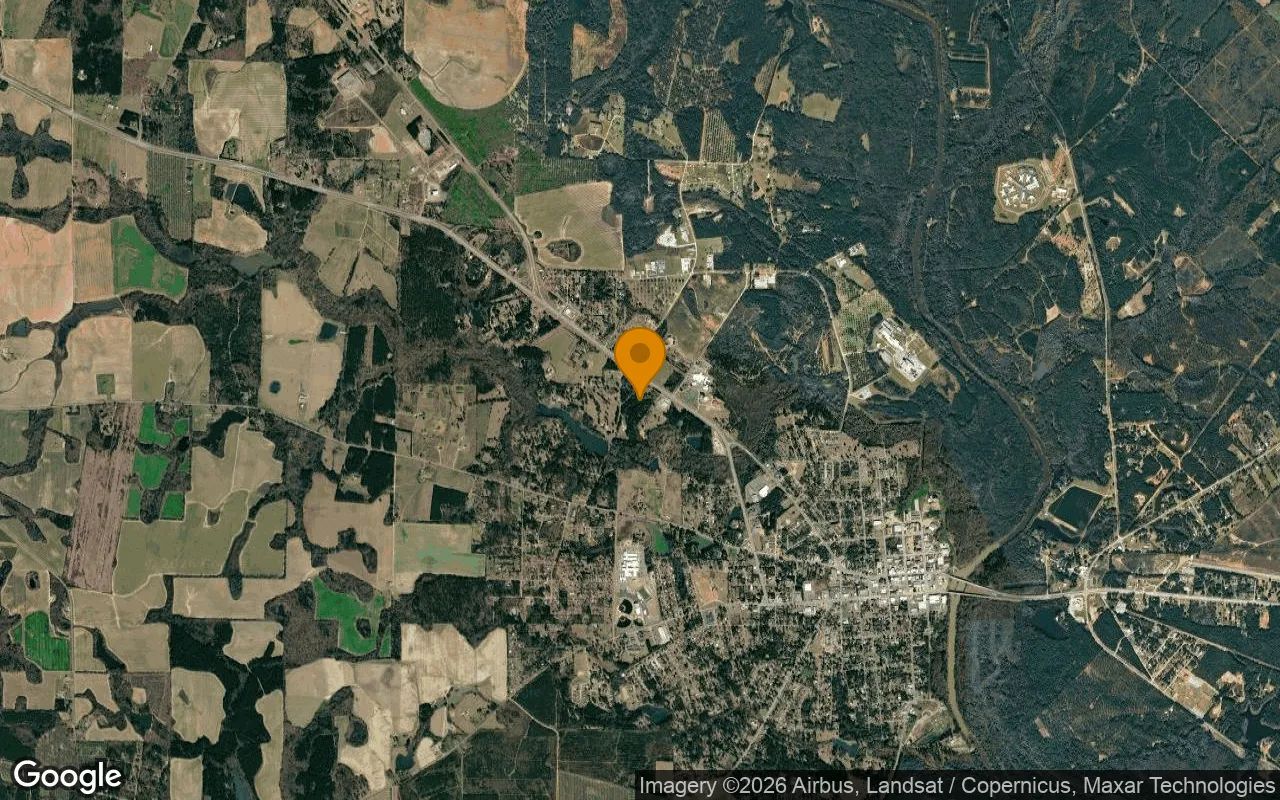 14.77 Acres in Hawkinsville - Pulaski County, GA in Pulaski County, GA