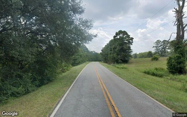 Decorative background for 14.77 Acres in Hawkinsville - Pulaski County, GA image 6