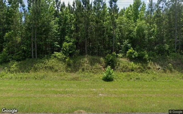 127.52 Acres in Dry Branch - Twiggs County, GA in Twiggs County, GA