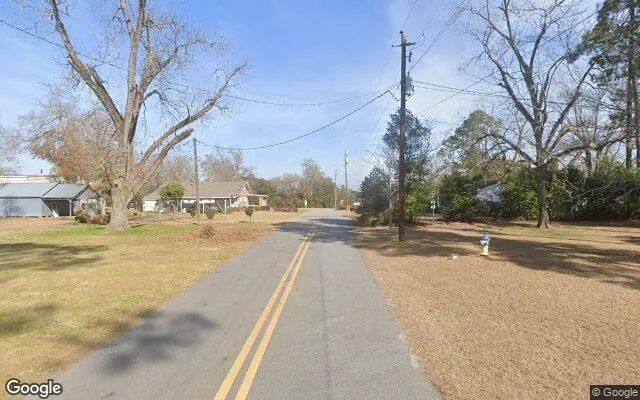 Decorative background for 0.56 Acres in Colquitt - Miller County, GA image 6