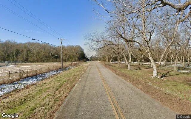 Decorative background for 34.69 Acres in Richland - Stewart County, GA image 5