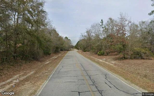 Decorative background for 0.54 Acres in Ellabell - Bryan County, GA image 5