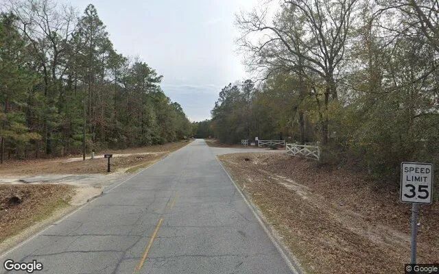 Decorative background for 0.54 Acres in Ellabell - Bryan County, GA image 6