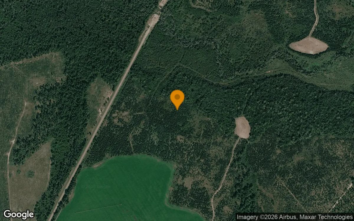 125.12 Acres in Ashburn - Turner County, GA - Main image