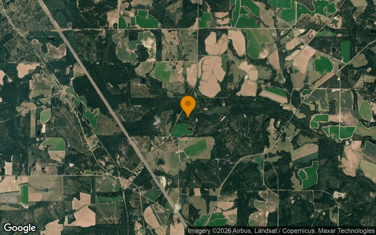 125.12 Acres in Ashburn - Turner County, GA - Image 3