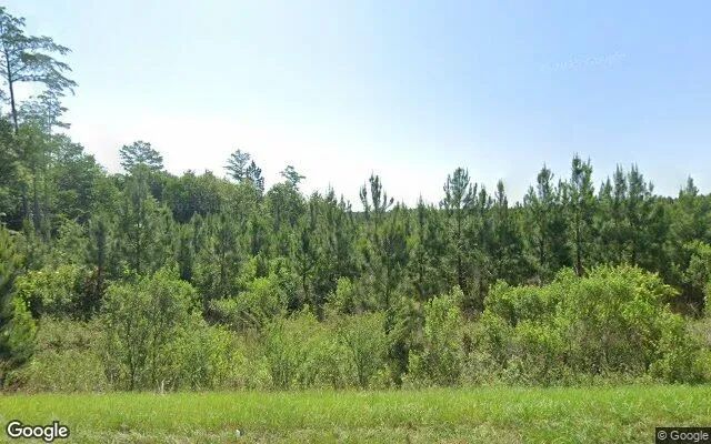 125.12 Acres in Ashburn - Turner County, GA - Image 4